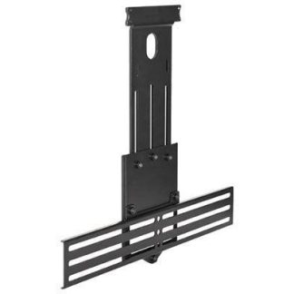 Chief Swing Arm Acc. Center  Speaker Assembly - TA350