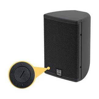 Martin Audio 6" Passive Coaxial Differential Dispersion Outdoor On-wall Loudspeaker with 70/100V Transformer (Black) - CDD6BTX-WR
