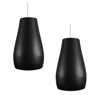 Biamp Desono P6 Pendant, Indoor/Outdoor 6.5" Coaxial Loudspeaker, Raindrop Profile (Pair, Black) - 911210