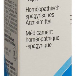 Apo-Infekt Tropfen Fl 50 ml