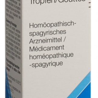 Apo-Infekt Tropfen Fl 100 ml