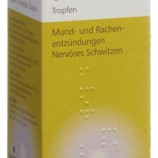 Salvia Wild Tropfen Fl 100 ml
