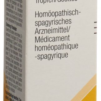 apo-Stom Tropfen Fl 50 ml