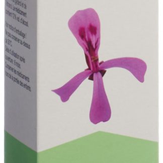 Umckaloabo Lösung Fl 100 ml
