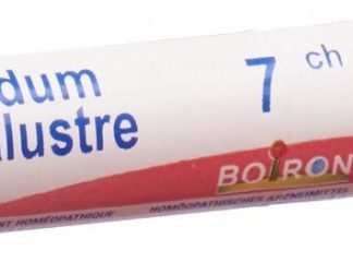 Boiron Ledum palustre Gran CH 7 4 g