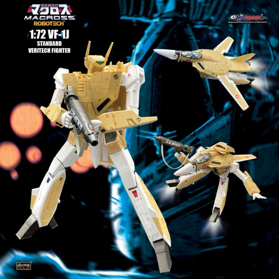 1/72 VF-1J Standard