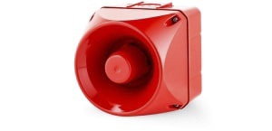 Segnalatore acustico elettronico AUER Signal, 24 → 48 V c.a./c.c., IP66, montaggio superficiale