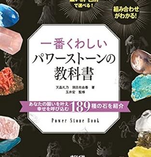 The most detailed textbook on power stones