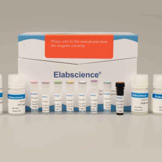 TUNEL In Situ Apoptosis Kit (HRP-DAB Method)