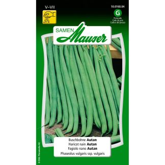 Samen Mauser · Vegetables seeds · Bush bean Autan