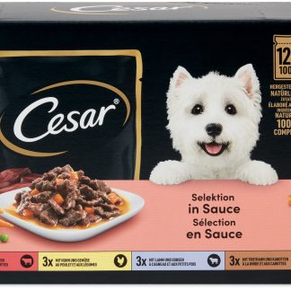 Cesar Sauce · sliced in sauce · Beef, chicken, lamb and turkey