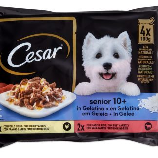 Cesar Senior · Slices in jelly · Senior 10 - With delicious chicken and rice and with tender beef and rice