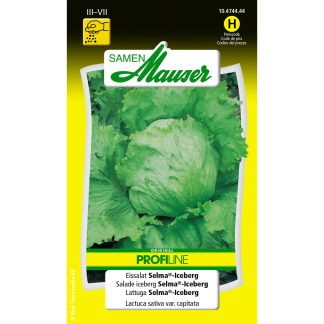 Samen Mauser · Vegetables seeds · Iceberg iceberg lettuce