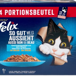 Felix · Slices in jelly · fish variation