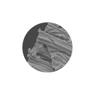 GVS PCTE Membrane Discs