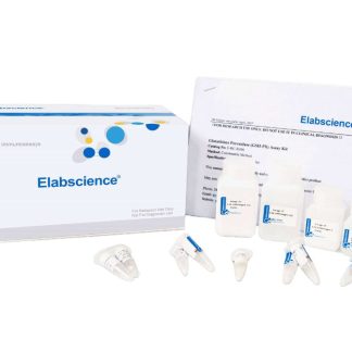 α-Ketoglutarate Dehydrogenase(α-KGDH) Activity Assay Kit