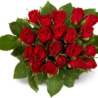 M-Classic Fairtrade · mini-roses · red