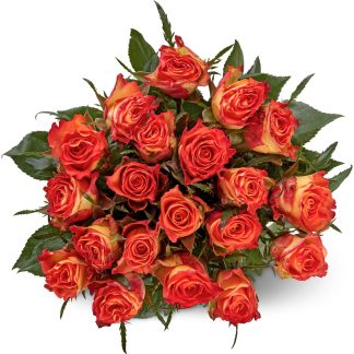 M-Classic Fairtrade · mini-roses · Red-Yellow