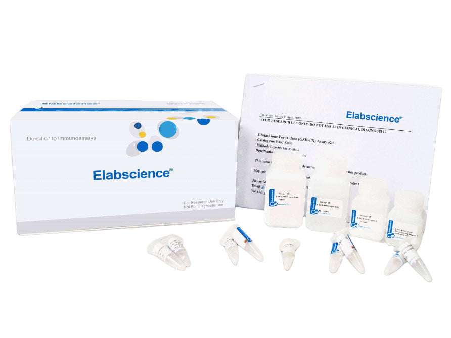 Total Antioxidant Capacity (T-AOC) Colorimetric Assay Kit (ABTS, Chemical Method)