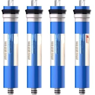 50G 75G 100G 125G 150G 200G Umkehrosmose RO-мембранный эрзацфильтр для штампа Вассерфильтрация Wasserreinigerfilter (2012 200GPD 1 шт.)
